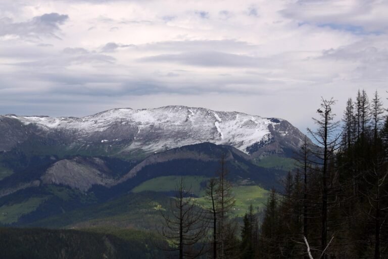 VIDEO: Hajla i Rožaje – planina koja čeka svoj skijaški centar